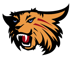 Glen A. Wilson Wildcat